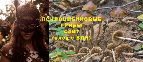 МДМА Арсеньев