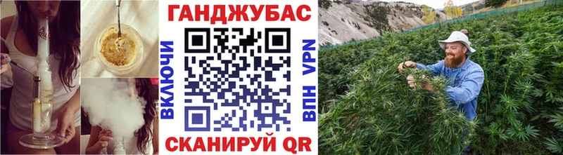 как найти   Глазов  Бошки марихуана MAZAR 